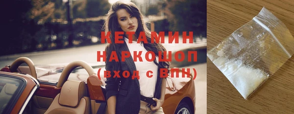 шишки Кодинск