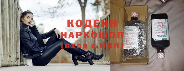 шишки Кодинск