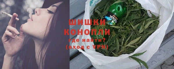 шишки Кодинск