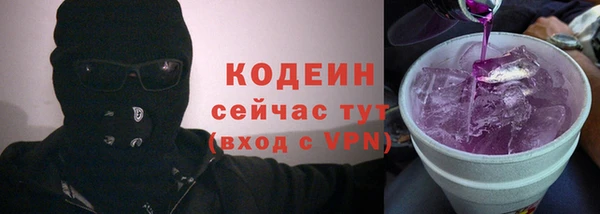 мдпв Козельск