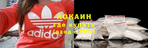 мдпв Козельск