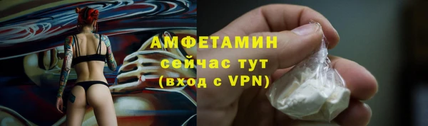мдпв Козельск