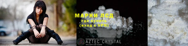 шишки Кодинск