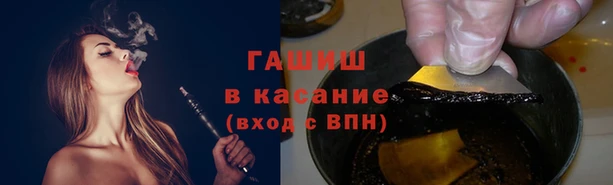 шишки Кодинск