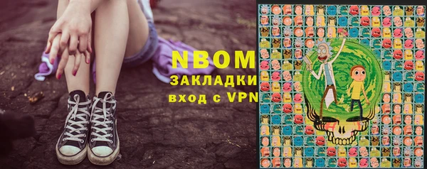 шишки Кодинск