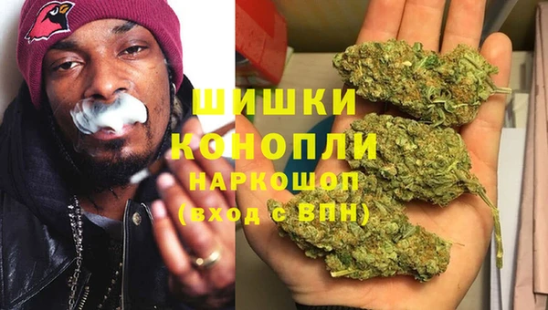 шишки Кодинск