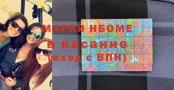 шишки Кодинск