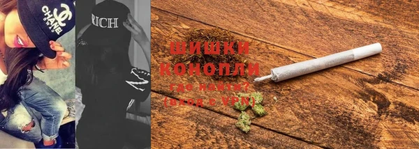 шишки Кодинск