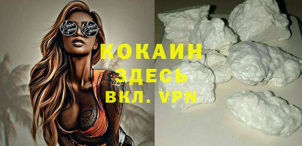шишки Кодинск