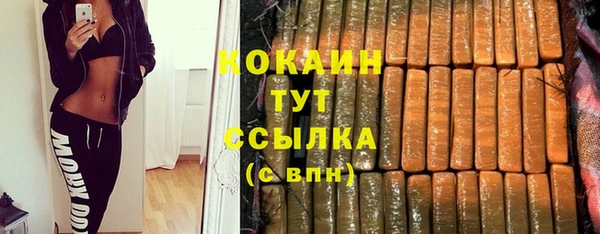 мдпв Козельск