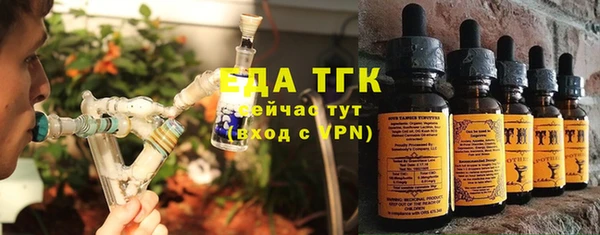шишки Кодинск