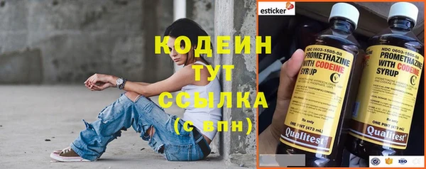 мдпв Козельск