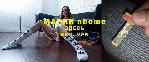 мдпв Козельск